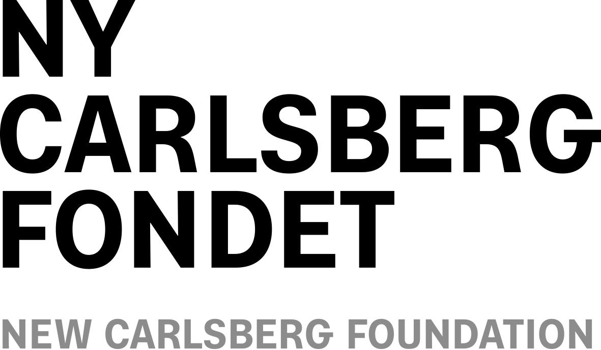 Ny Carlsberg Fondet