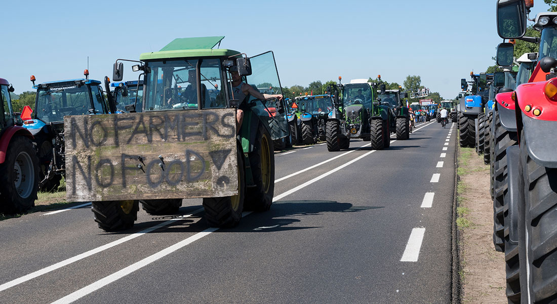 Hollandske landmænd protesterede i juni måned over reformer, der skulle mindske kvælstofudledningen fra landbruget. Foto: Shutterstock