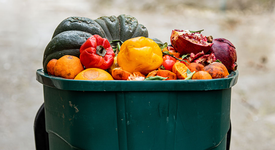 235.000 ton. Så mange fødevarer ender i skraldespanden hvert år. Foto: Shutterstock